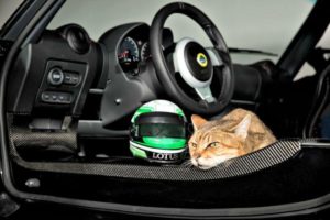 The new lineup of cat helmets from Lots are practical and desirable.