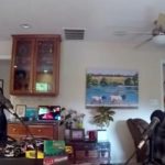 Bruce Aldrich and James Raia co-host The Weekly Driver Podcast.