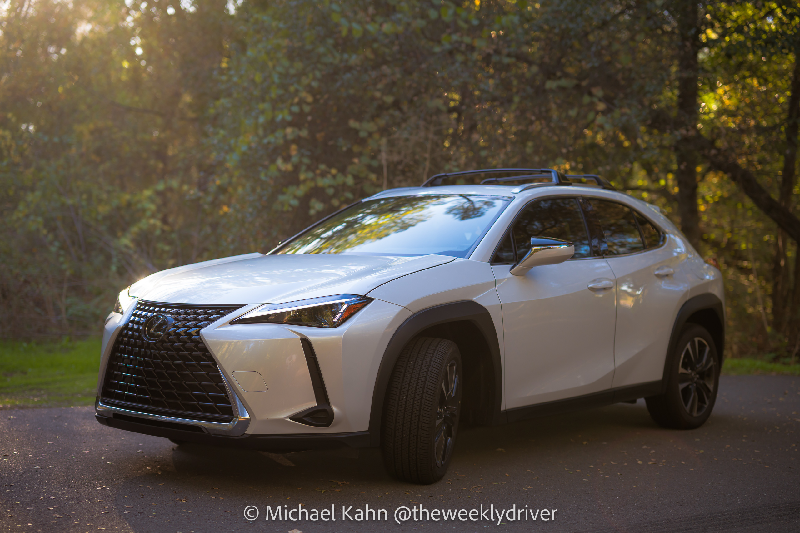 2025 Lexus UX 300h front side