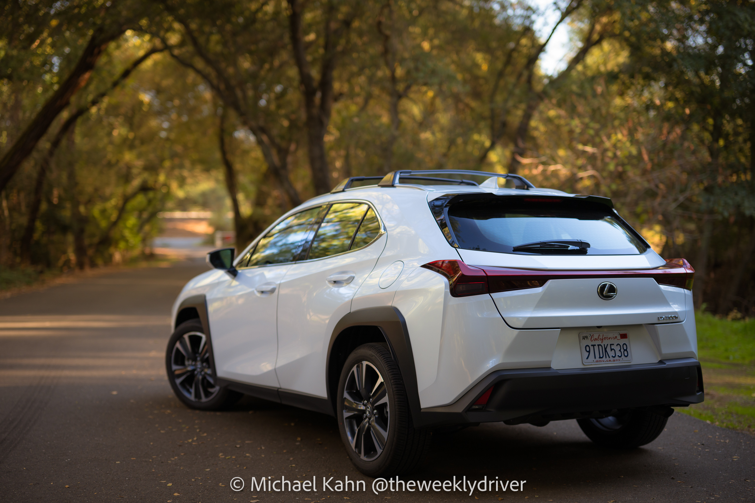 2025 Lexus UX 300h rear side trees