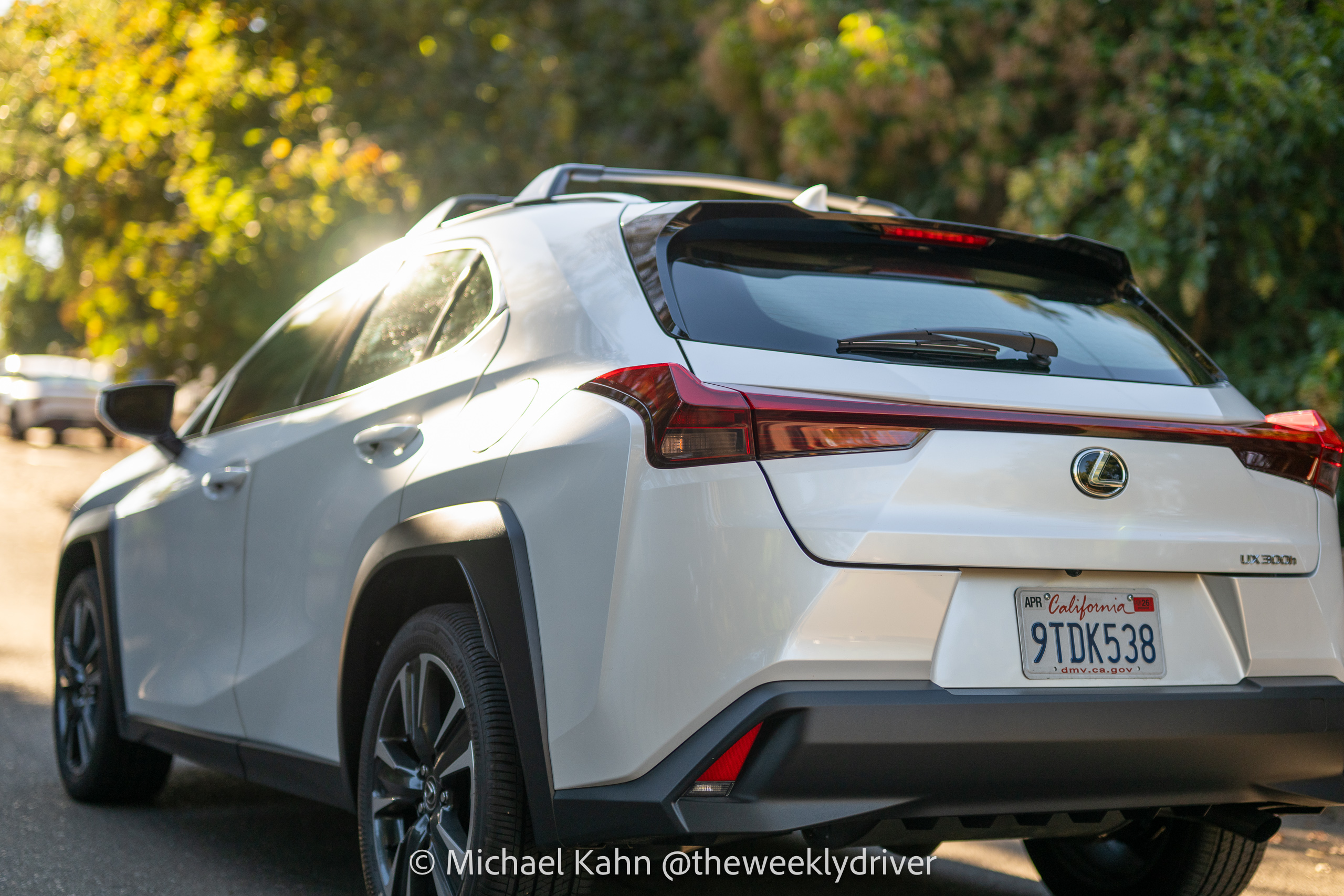 2025 Lexus UX 300h rear side