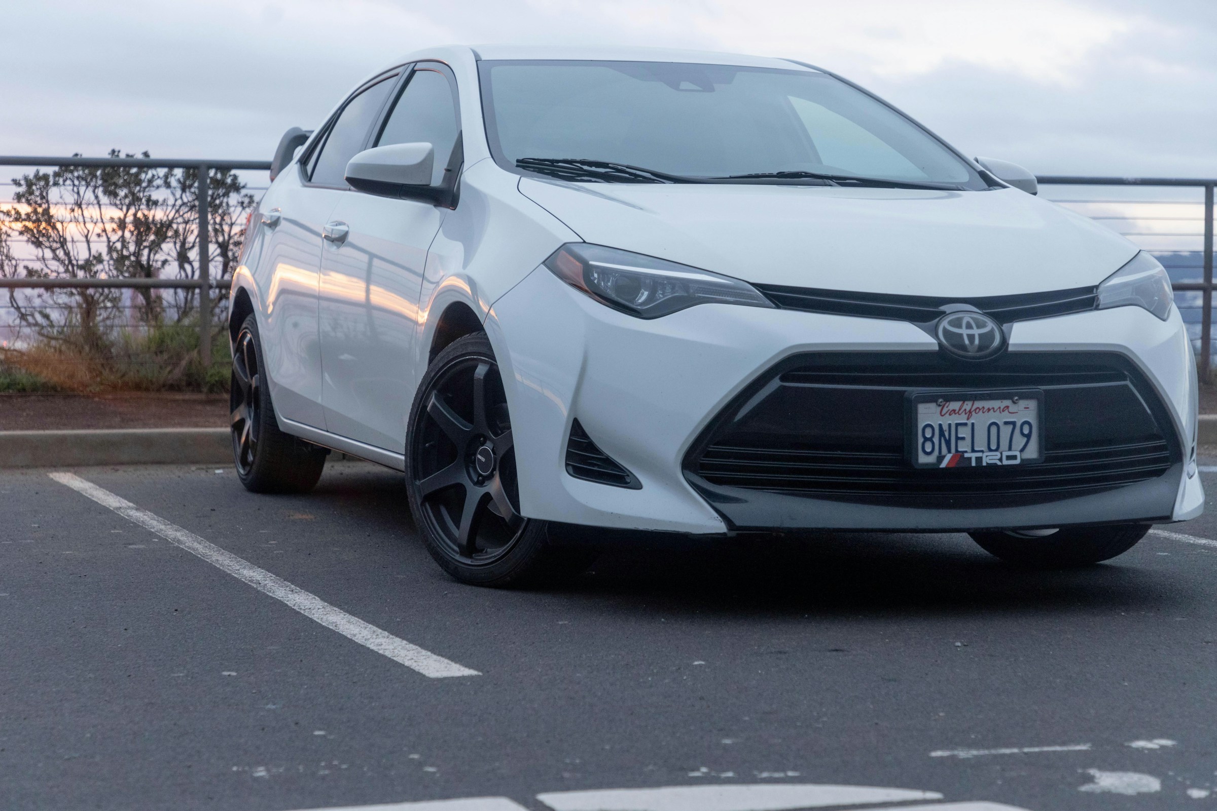 5 Signs Your Toyota Prius Needs a Head Gasket Repair
