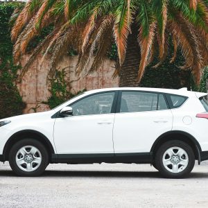 Electricity Can Coexist With Gasoline in the Same Car