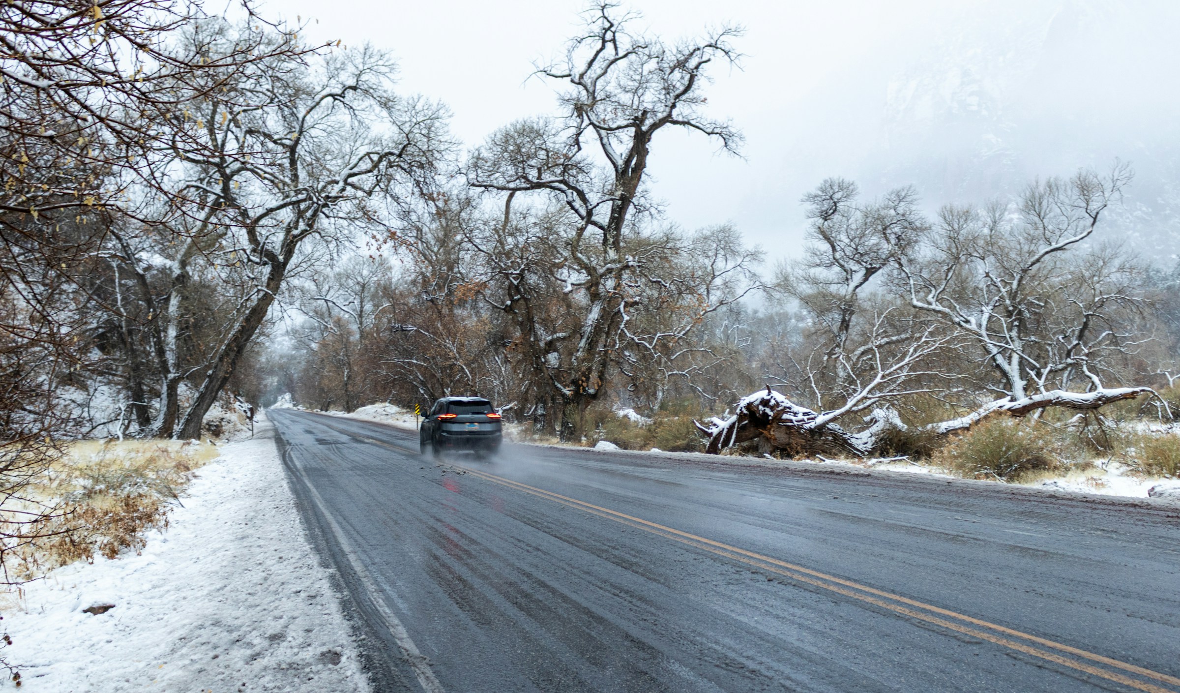 The Ultimate Guide to Uninsured Motorist Coverage and Why You Need It in 2025