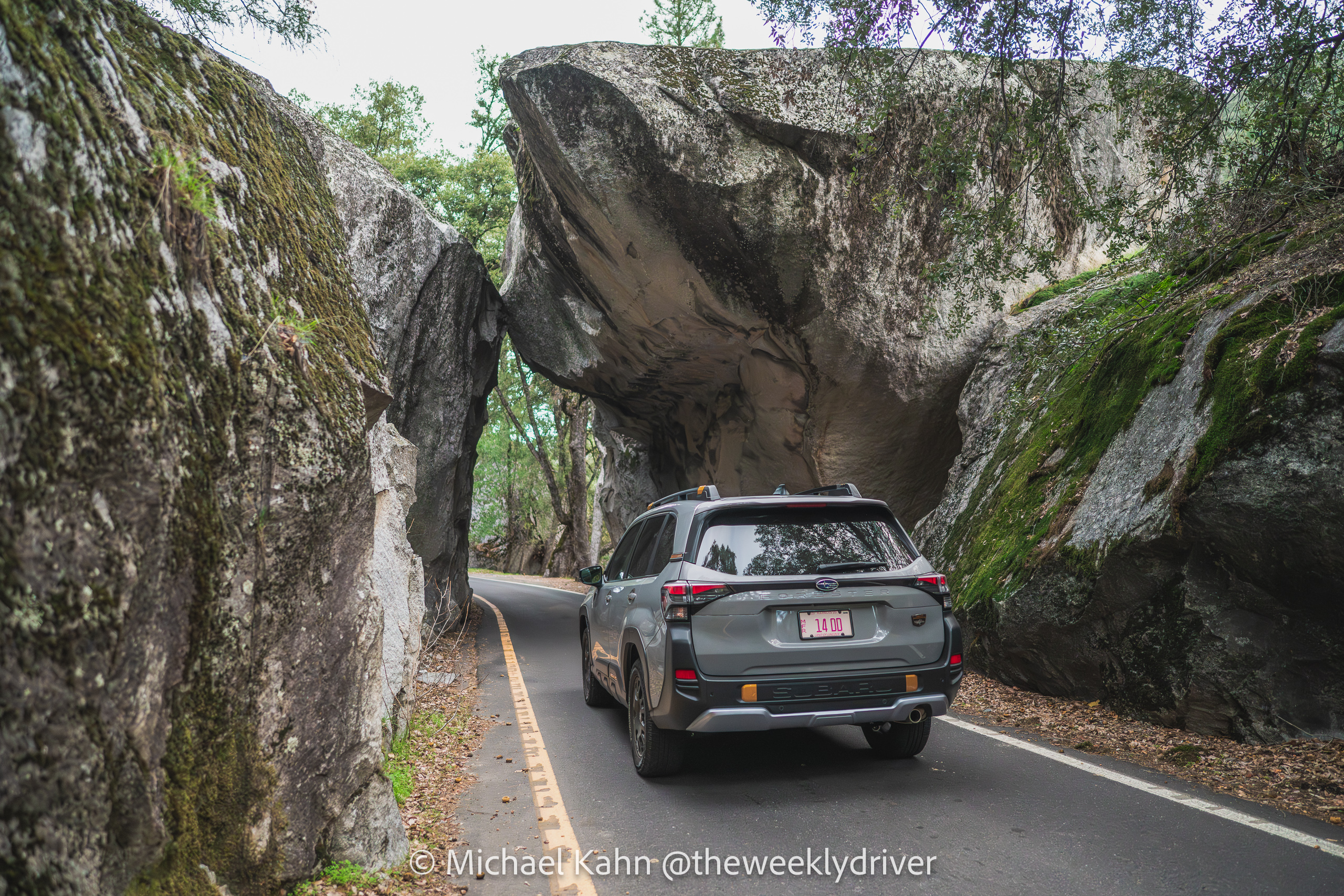 Car Camping Under the Stars with the 2026 Subaru Forester Wilderness yosemite entrance