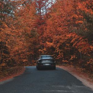 How to Maximize the Resale Value of Your End-of-Life Vehicle