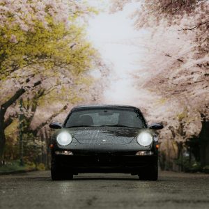 What Insurance Covers for Collision Repair?