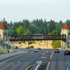 Don’t Forget the No-Claim Bonus! How to Use Your Safe Driving to Lower Renewal Costs