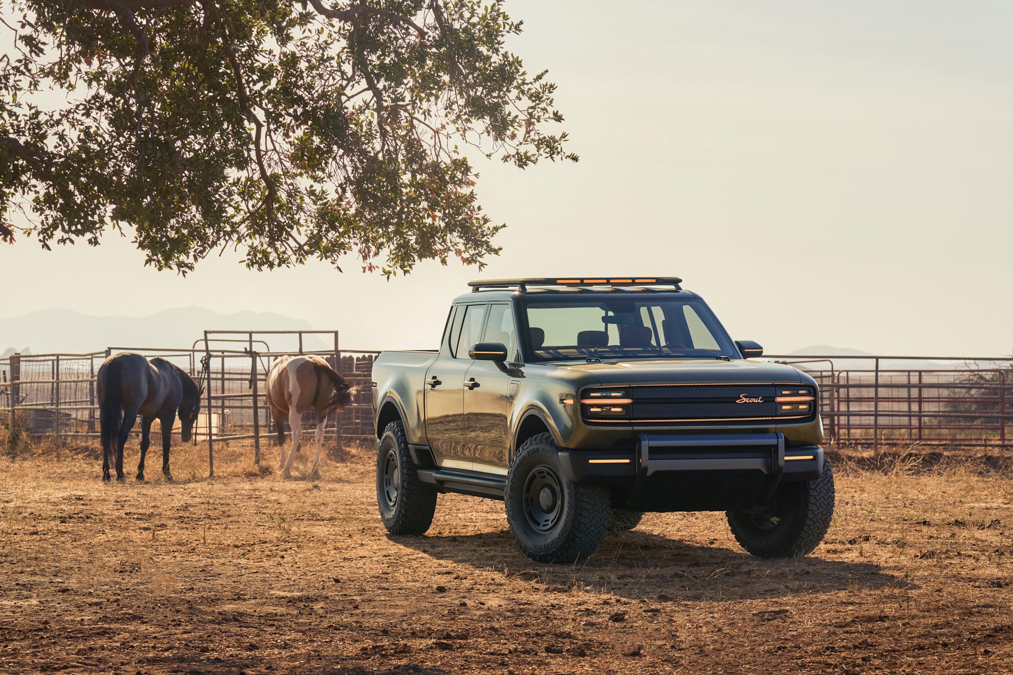 Scout Terra pickup in olive green, front three-quarter view, parked on a ranch with horses