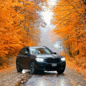 Beyond the Dealership: Why Modern European Vehicles Require Specialist Servicing