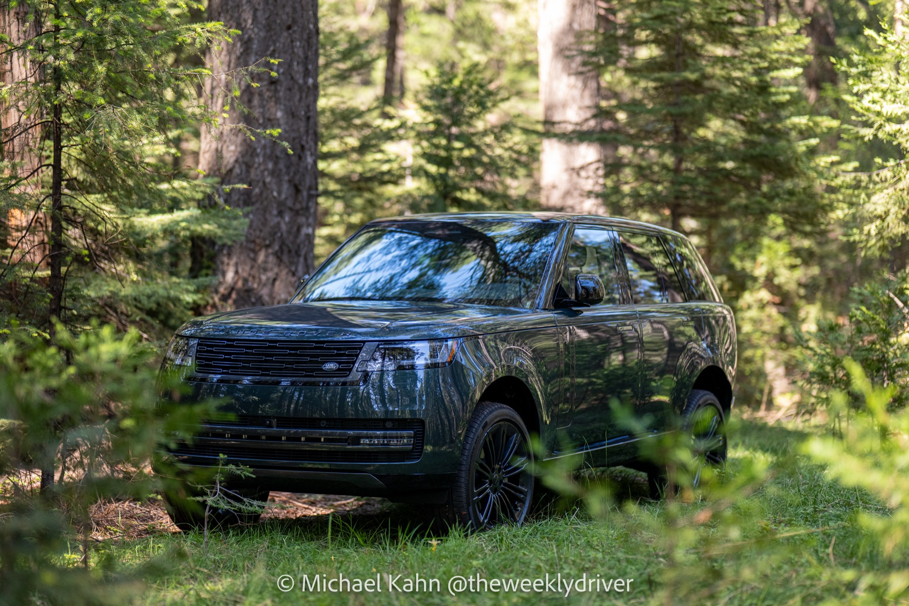 2026 Range Rover SE SWB P400 in Belgravia Green from the front at the edge of a forest meadow, the L460's full-size SUV stance with 73.6-inch height and 198.9-inch length on display