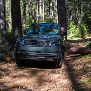 2026 Range Rover SE SWB P400 in Belgravia Green on a forest logging road, fallen logs flanking the path, driver checking positioning out the window