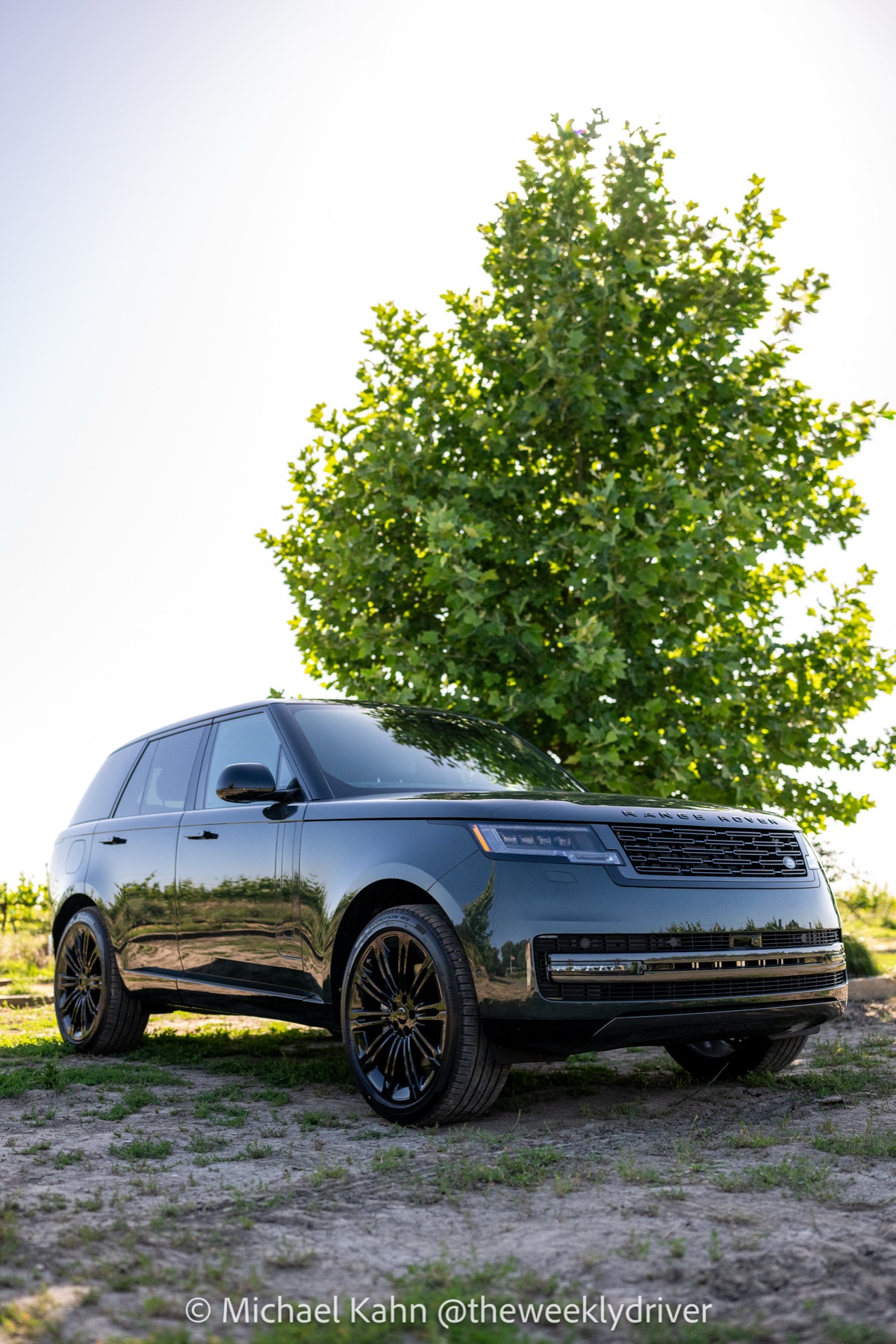 2026 Range Rover SE in Belgravia Green photographed in vertical orientation with a tall oak tree framed behind the vehicle