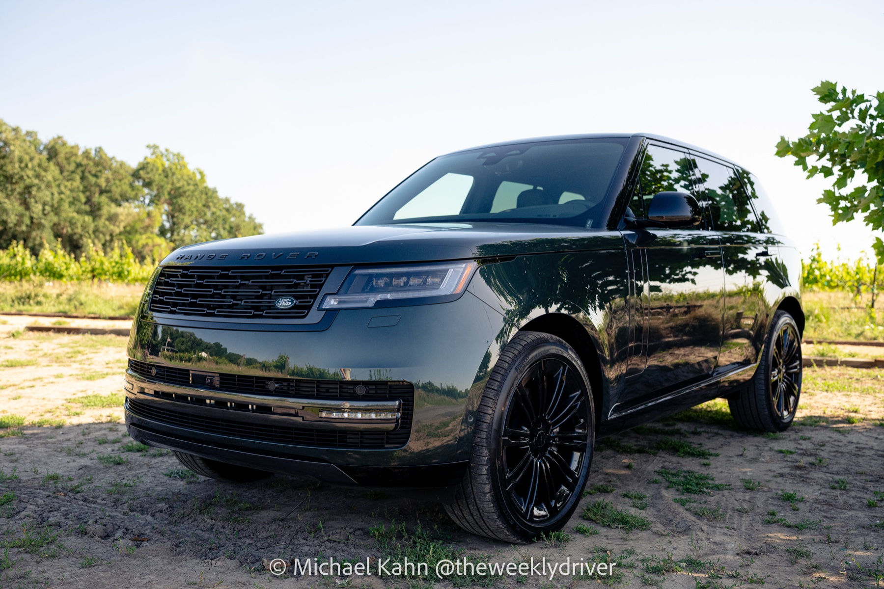 2026 Range Rover SE in Belgravia Green parked at the edge of a vineyard with mature oaks in the background, golden-hour front three-quarter view
