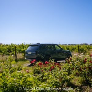 2026 Range Rover SE SWB P400 in Belgravia Green parked among grapevines and rose bushes at a Northern California vineyard, the country-house silhouette in its native habitat next to the Defender's expedition identity