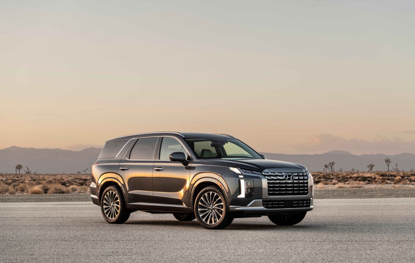 Hyundai Palisade Calligraphy, the top trim whose Black Ink version now clears the price a Lexus TX starts at