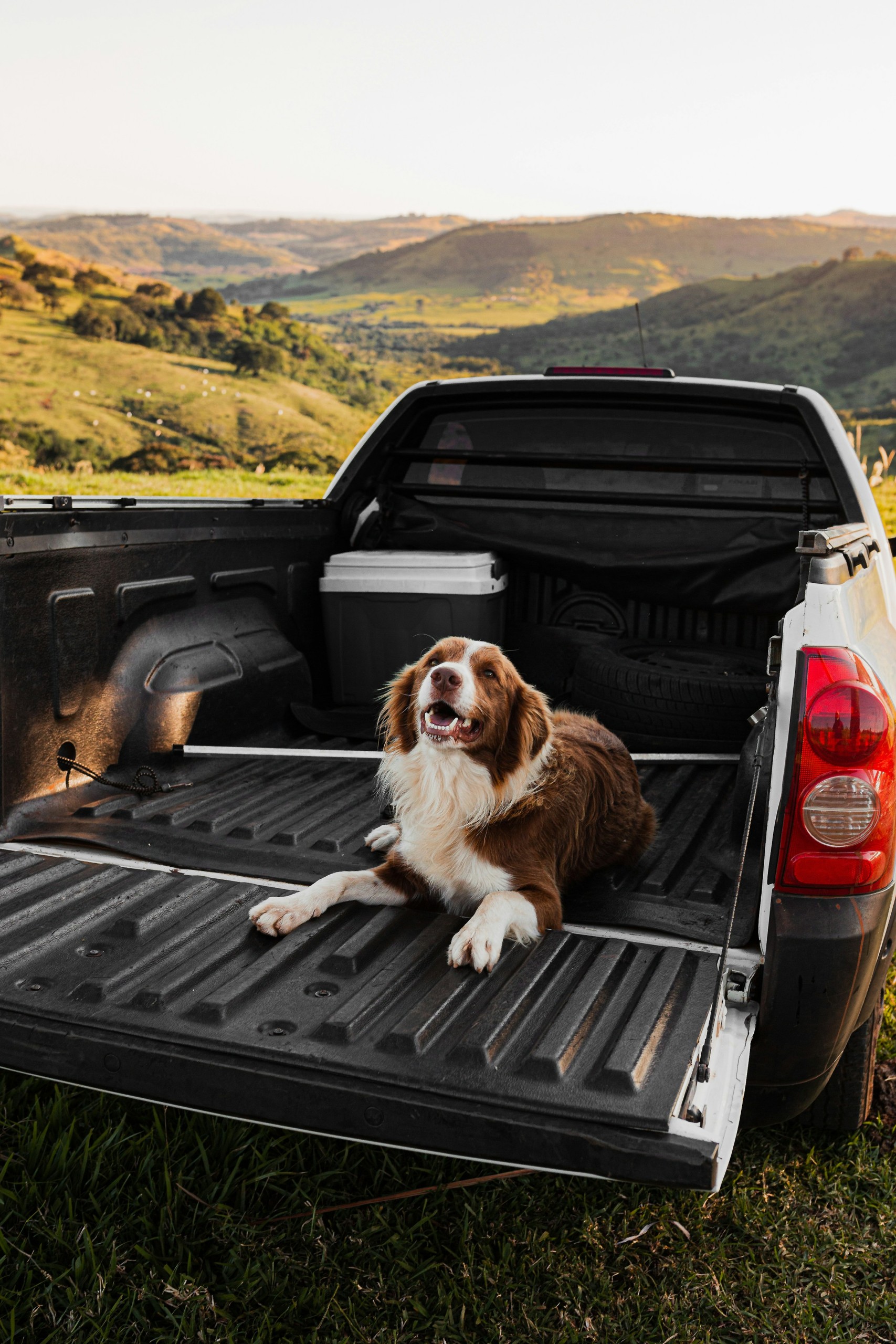 Before the Gravel: How a Truck Bed Mat Handles Everyday Wear