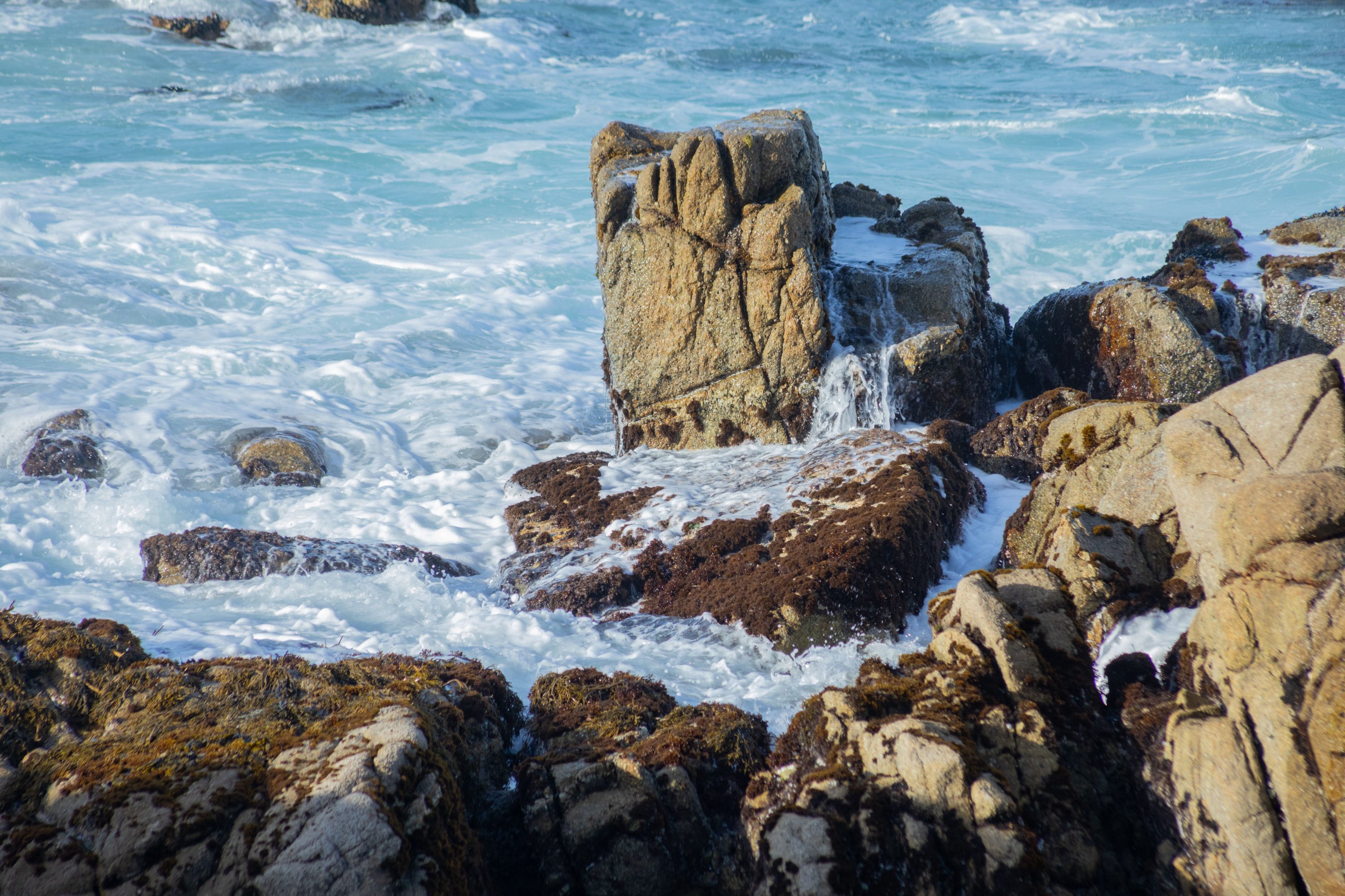 Waves breaking over the rocky shoreline at Monterey, California
