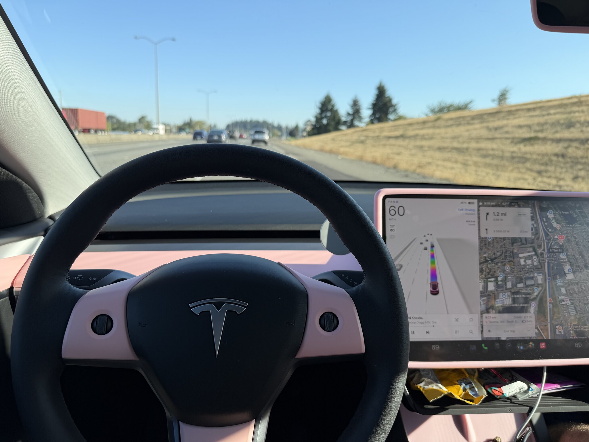Driver's view of a Tesla Model Y with pink interior trim on I-5, the touchscreen showing Self-Driving engaged on the Standard profile at 60 mph
