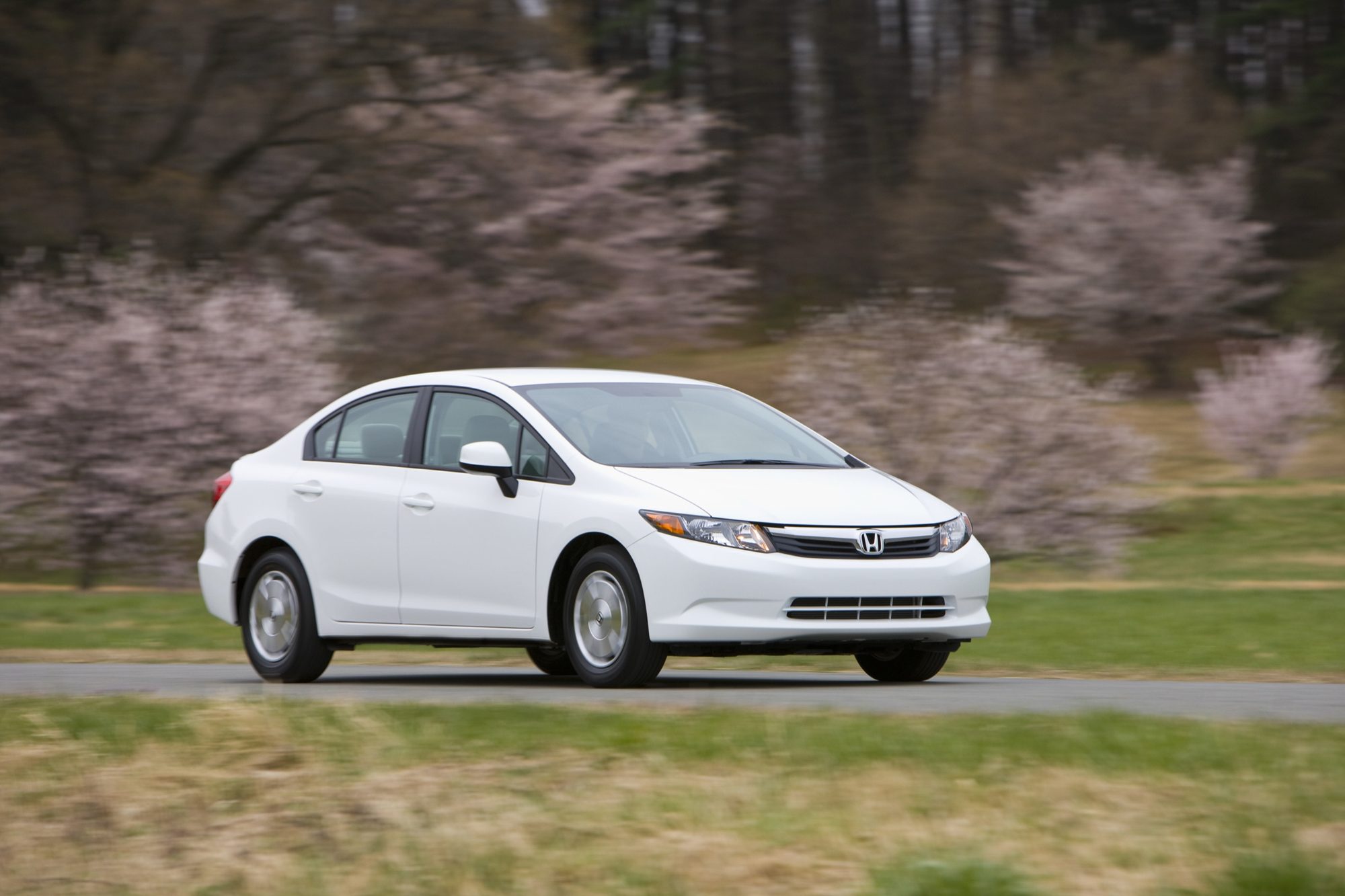 White 2012 Honda Civic HF sedan driving past flowering trees