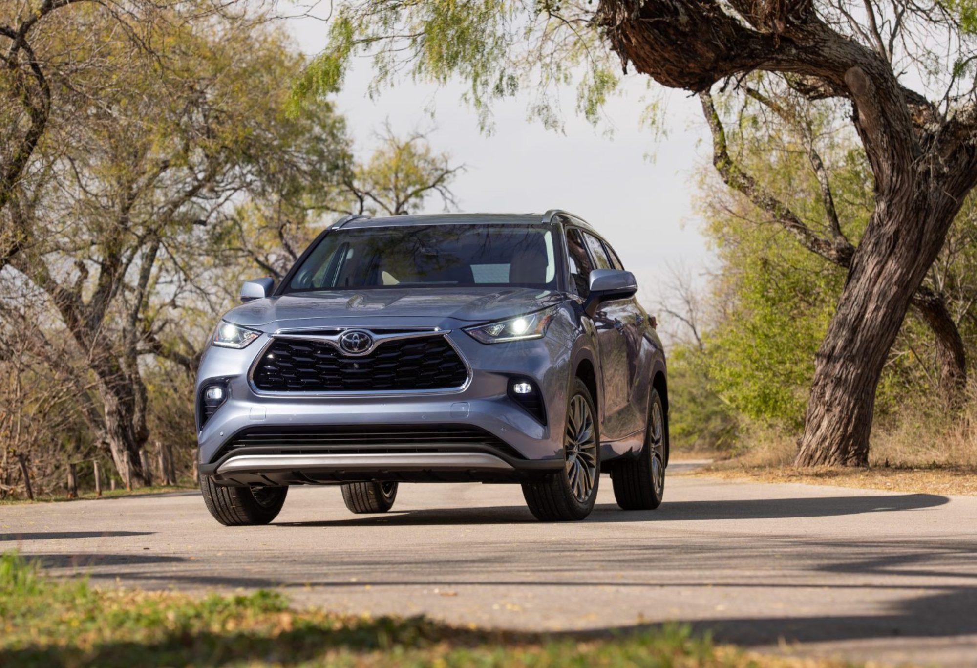 Front view of the 2022 Toyota Highlander Platinum AWD in Moon Dust under oak trees