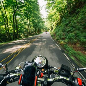 Rider's view over motorcycle handlebars on a forest road