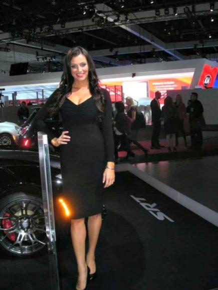 One of the product represents of the 2012 LA Auto Show.