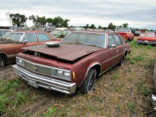A new, weather-beaten 1979 Chevy Impala is part of the Nebraska car auction.